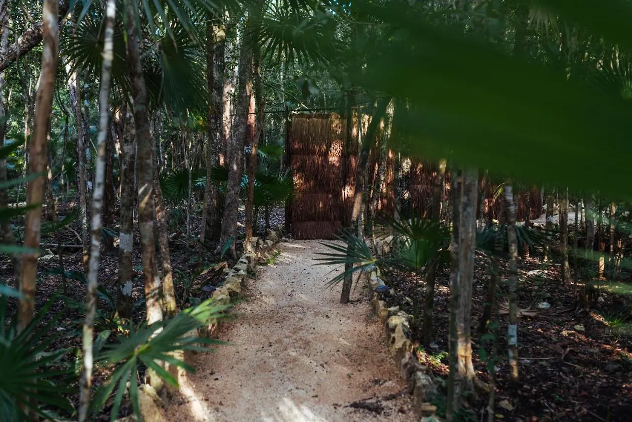 Ajal Tulum Tree House 호텔 4*,