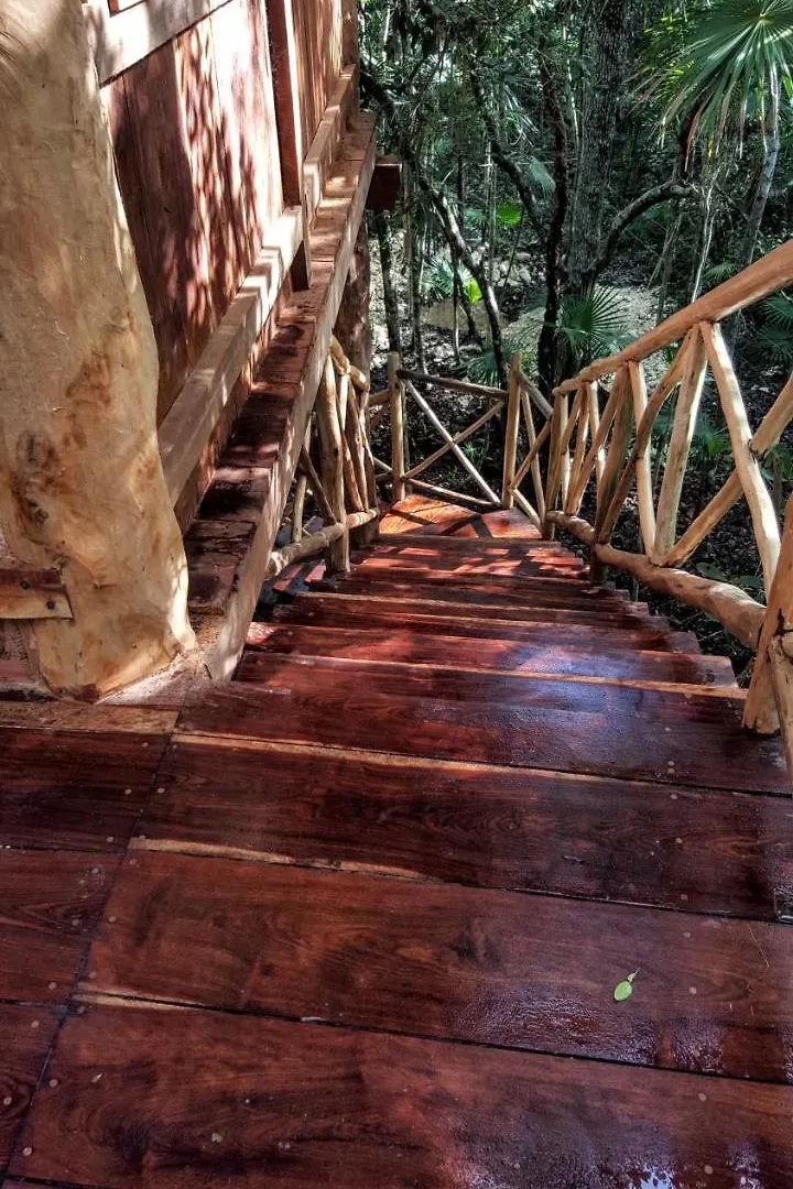 Ajal Tulum Tree House 호텔