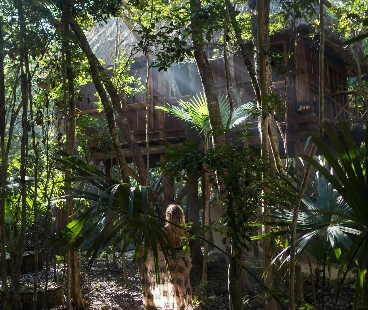 Ajal Tulum Tree House 호텔
