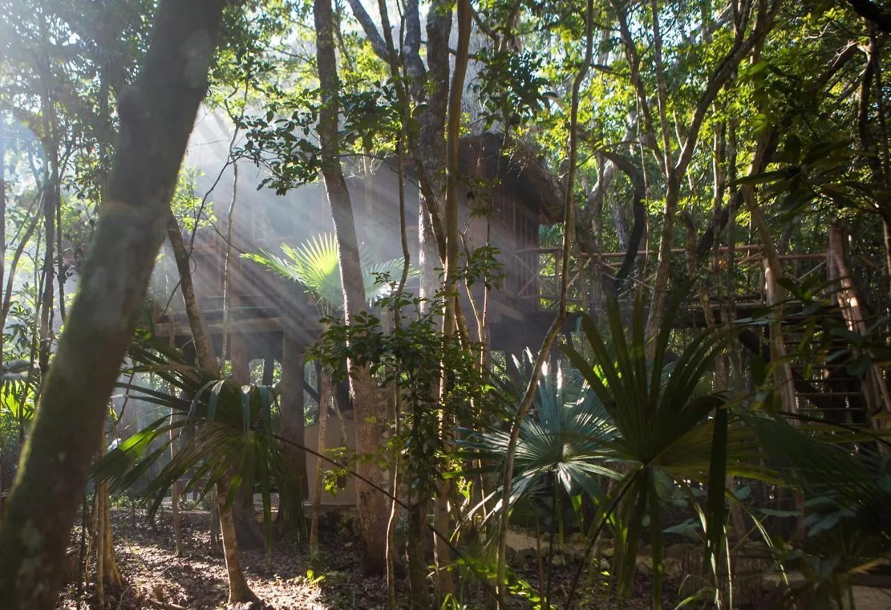 Ajal Tulum Tree House 호텔