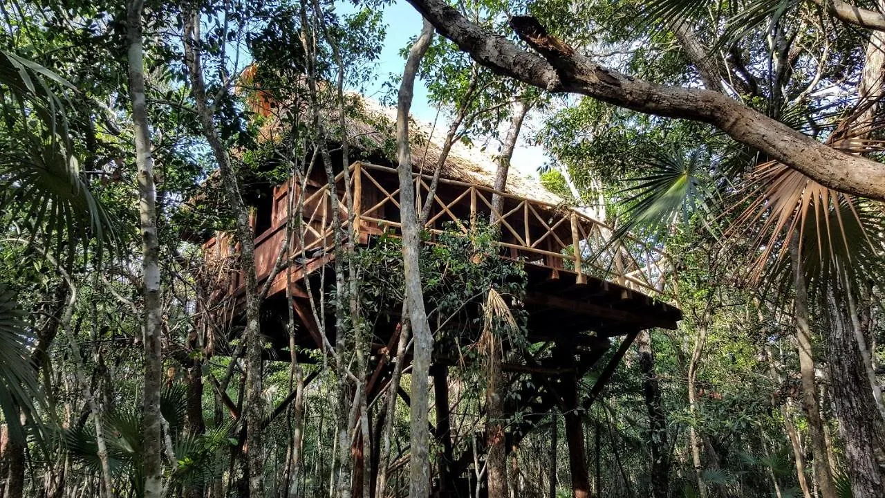 Ajal Tulum Tree House 호텔 멕시코