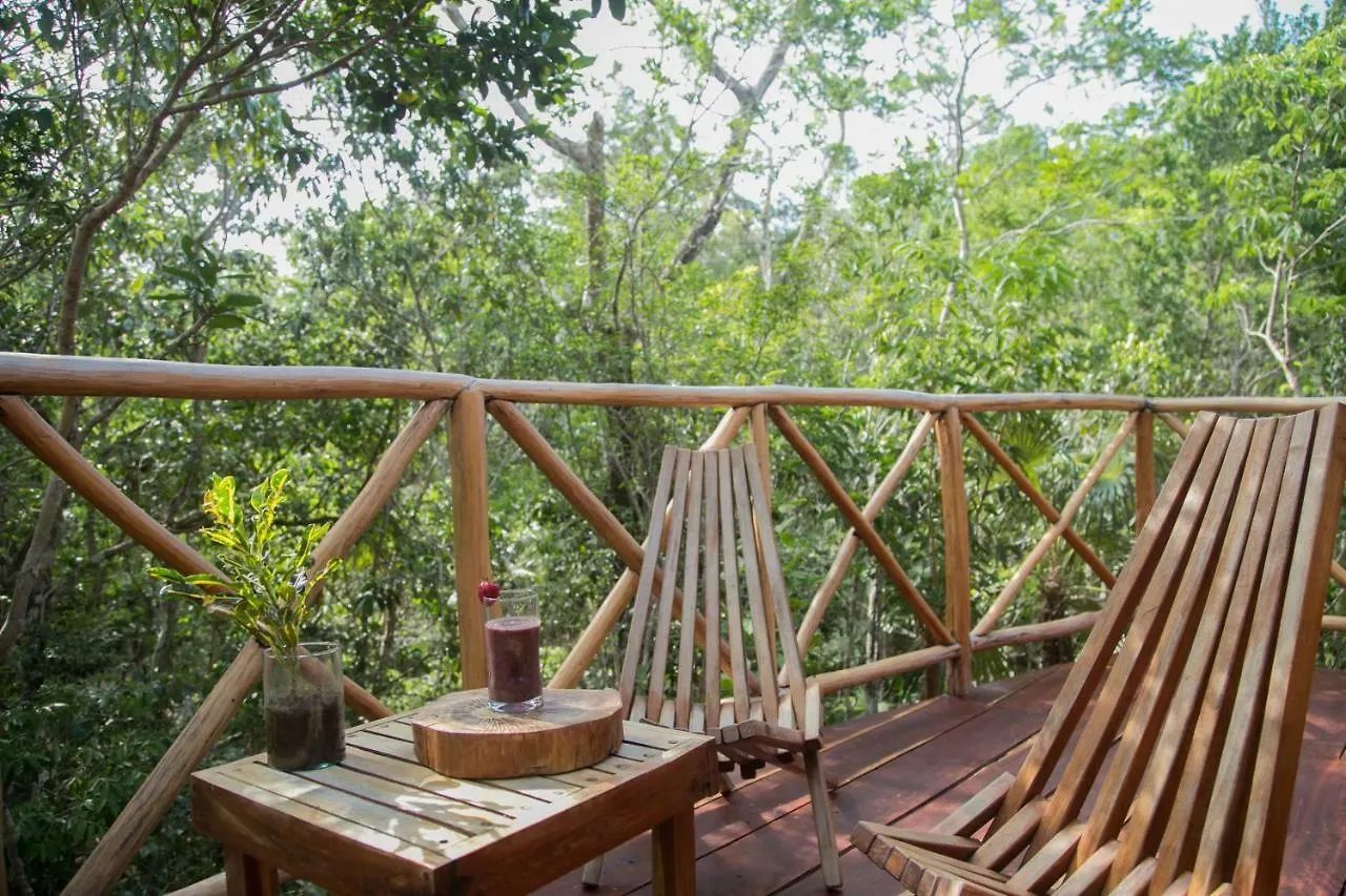 ****  Ajal Tulum Tree House 호텔 멕시코