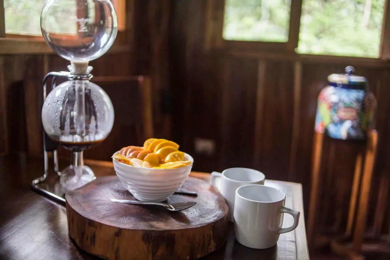 Ajal Tulum Tree House 호텔 멕시코